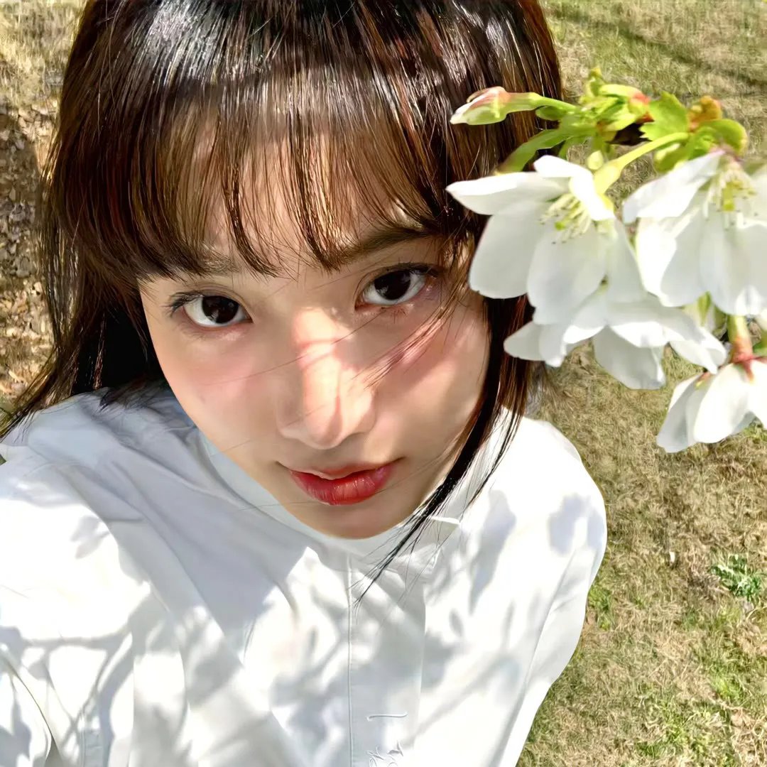 爱在飞